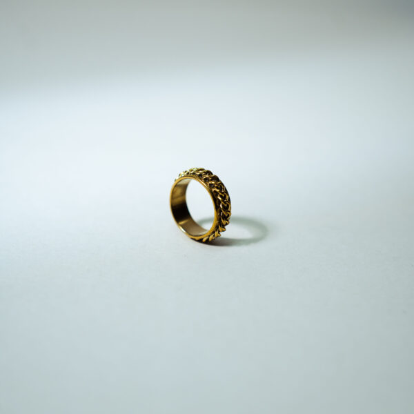 Chain Ring