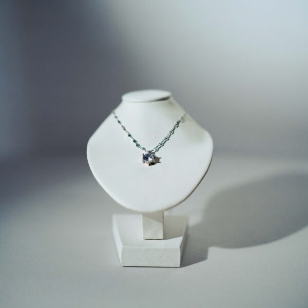 Dazzling Charm Necklace