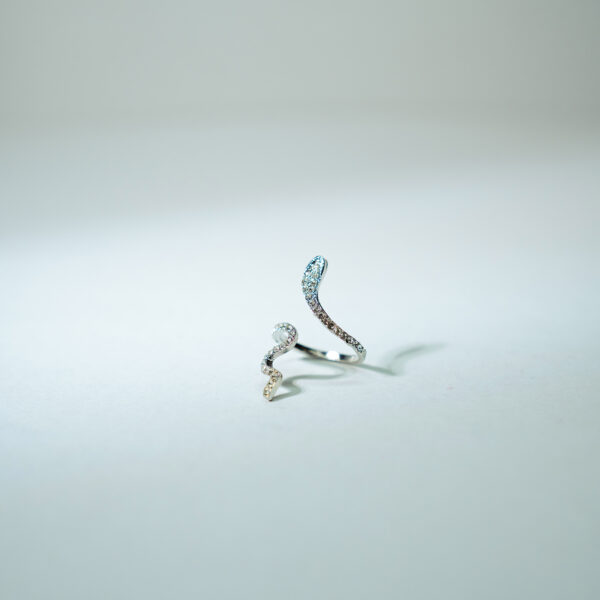 Snake Ring